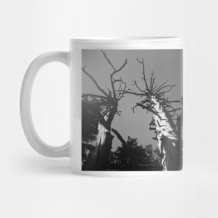 Glacier National Park Trees Mug